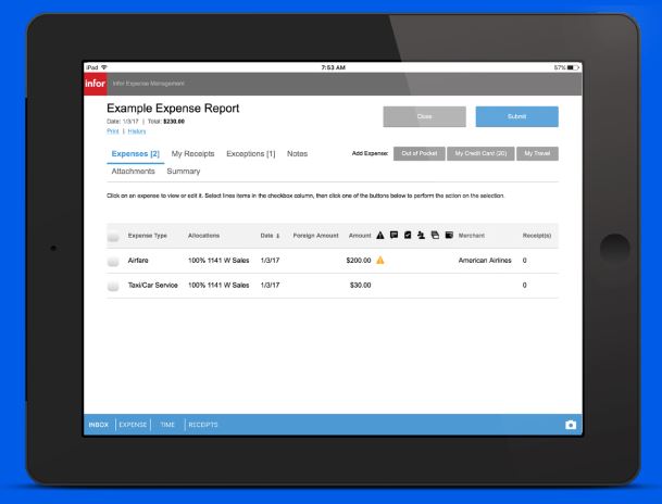 screenshot of Infor Expense Management